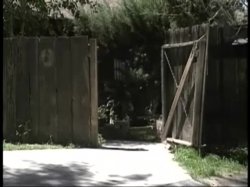 'Perversions' screenshot nº 93