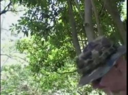 'Tranny Hunter 3' screenshot nº 15