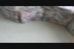 'Seymore Butts' Asstravaganza' screenshot nº 27