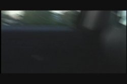 'Seymore Butts' Asstravaganza' screenshot nº 65