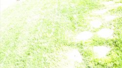 'Tanlines #3' screenshot nº 91