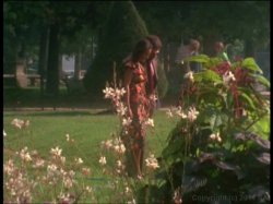 Captura de 'Nympho Secretaries (French)' nº 80