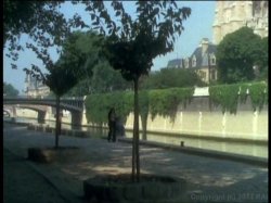 Captura de 'Nympho Secretaries (French)' nº 101