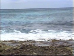 Captura de 'Sex Hawaiian Style' nº 9