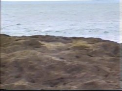 Captura de 'Sex Hawaiian Style' nº 18