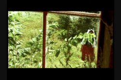 'Life of Porn, A' screenshot nº 104