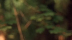 Captura de 'The Amorous World Of Bella' nº 118
