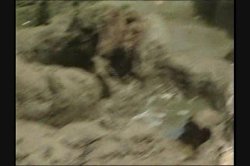 'Babewatch 8' screenshot nº 50