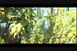'Slut Tracker 2' screenshot nº 116