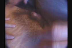 Captura de 'Hairy Honies 12' nº 59
