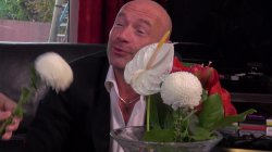 Captura de 'Florist, The (French)' nº 49