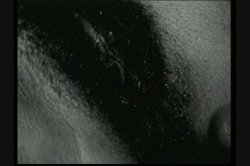 Captura de 'My Black Ass 5' nº 4
