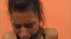 Captura de 'Fick Fleisch' nº 66