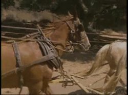 Captura de 'Dirty Western 2: Smokin' Guns' nº 10