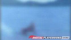 Captura de 'Island Fever 3' nº 65