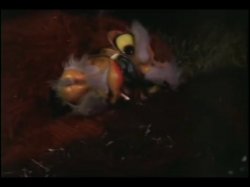 Captura de 'Naughty Little Nymphos 4' nº 40