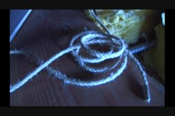 'Freakaholics' screenshot nº 118