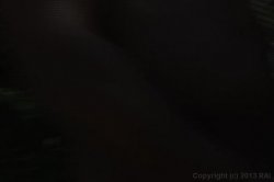 Captura de 'Bust a Nut #5' nº 13