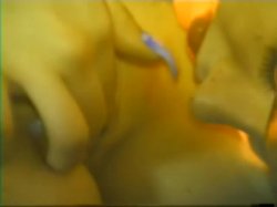 'Sex Kittens 2' screenshot nº 27