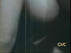'Robot Love Slaves / A Kinky Girl and Her Horse' screenshot nº 28
