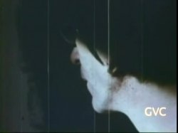 'Robot Love Slaves / A Kinky Girl and Her Horse' screenshot nº 44