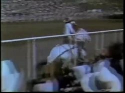 'Robot Love Slaves / A Kinky Girl and Her Horse' screenshot nº 84