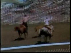 'Robot Love Slaves / A Kinky Girl and Her Horse' screenshot nº 86