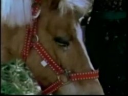 'Robot Love Slaves / A Kinky Girl and Her Horse' screenshot nº 91