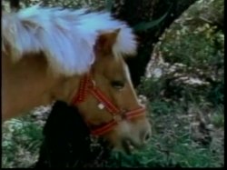 'Robot Love Slaves / A Kinky Girl and Her Horse' screenshot nº 93