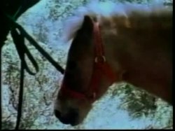 'Robot Love Slaves / A Kinky Girl and Her Horse' screenshot nº 94
