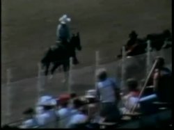 'Robot Love Slaves / A Kinky Girl and Her Horse' screenshot nº 120