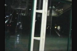 Captura de 'Anal Demonstrative' nº 49