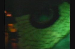 Captura de 'Anal Demonstrative' nº 107