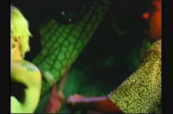 Captura de 'Anal Demonstrative' nº 111