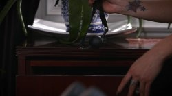 Captura de 'Sex Therapist Vol. 2, The' nº 116