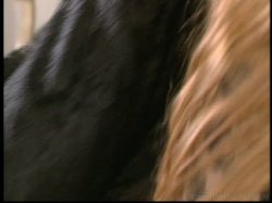 Captura de 'Over 40 Crowd, The' nº 35