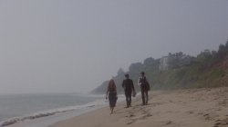 Captura de 'Dixie Ray - Hollywood Star' nº 43
