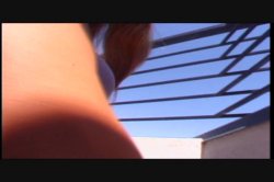Captura de 'Live Bait 4' nº 96