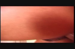 Captura de 'Live Bait 4' nº 21