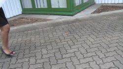 Captura de 'Buro Miezen in geheimer Mission' nº 62