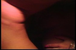 Captura de 'Only the Best of Seymore Butts 2' nº 116