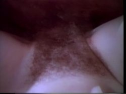 Captura de 'Swedish Erotica Volume Four' nº 112