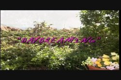 'Puritan Video Magazine 24' screenshot nº 89