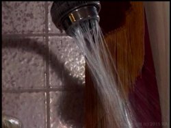 Captura de 'Larry Flynt's Private Collection Vol. 5: Hot Showers' nº 135