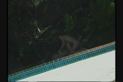 'White Panty Chronicles 9' screenshot nº 117