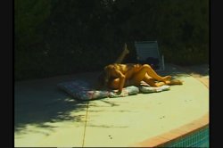 'White Panty Chronicles 9' screenshot nº 135