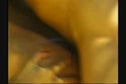 'White Panty Chronicles 9' screenshot nº 138