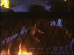 Captura de 'Playgirl Erotic Encounters' nº 47