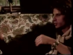 Captura de 'Swedish Erotica Volume Five' nº 130