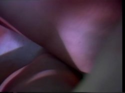 Captura de 'Swedish Erotica Volume Five' nº 37